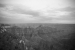 Grand Canyon North Rim, Arizona - United States of America